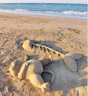 Art in the Sand Image